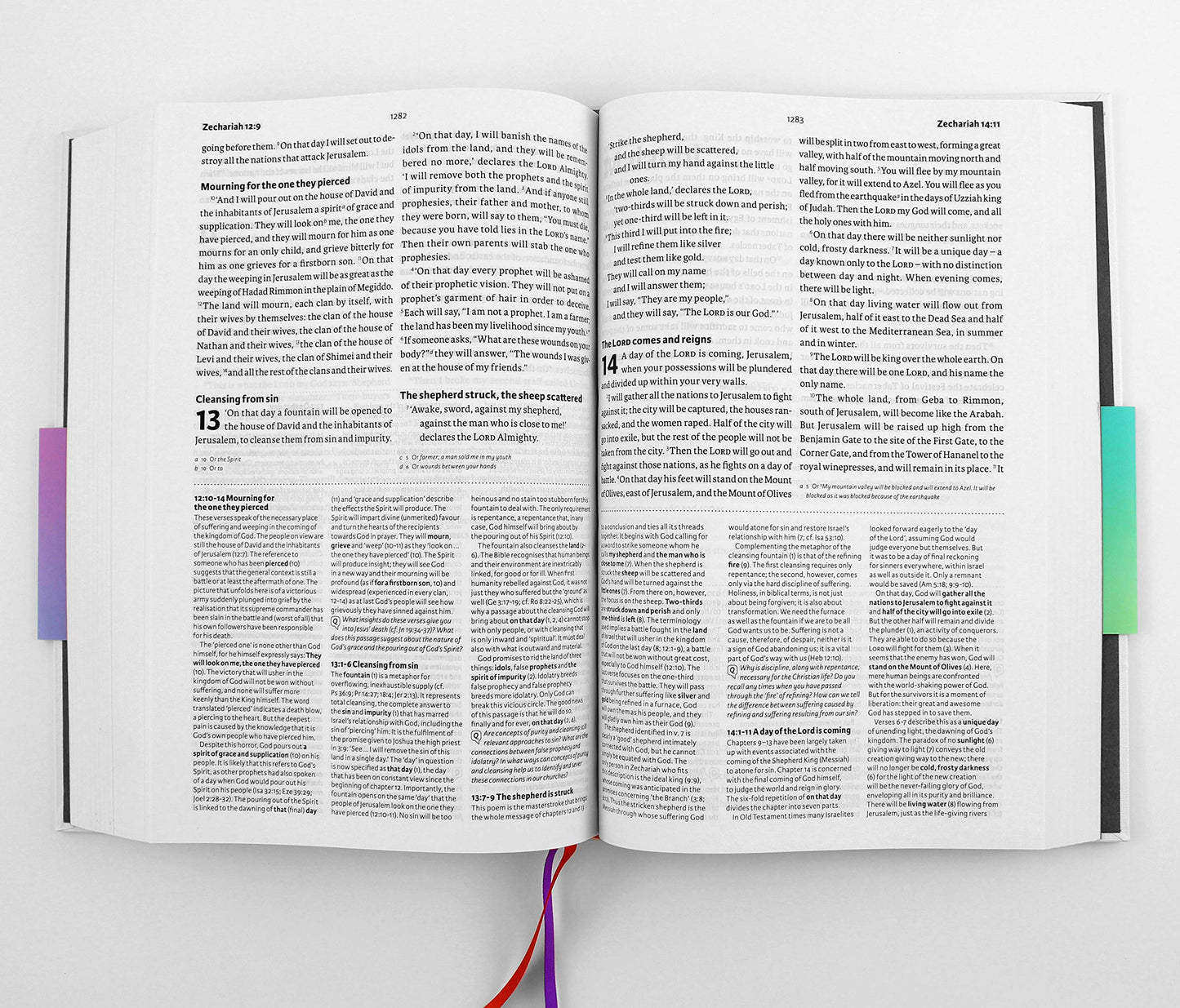 NIV BST Bible Speaks Today: NIV BST Study Bible - Clothbound Edition