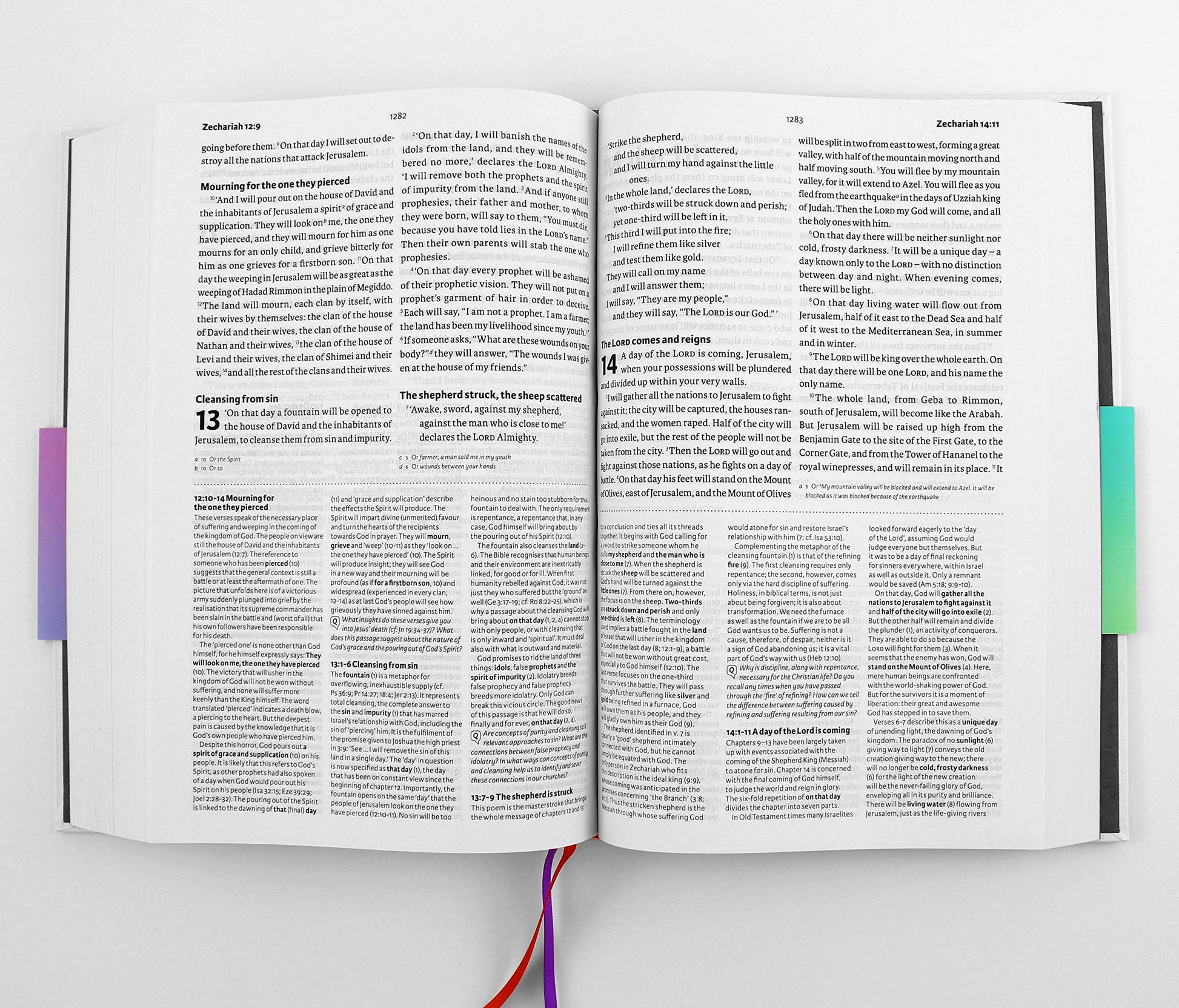NIV BST Bible Speaks Today: NIV BST Study Bible - Clothbound Edition
