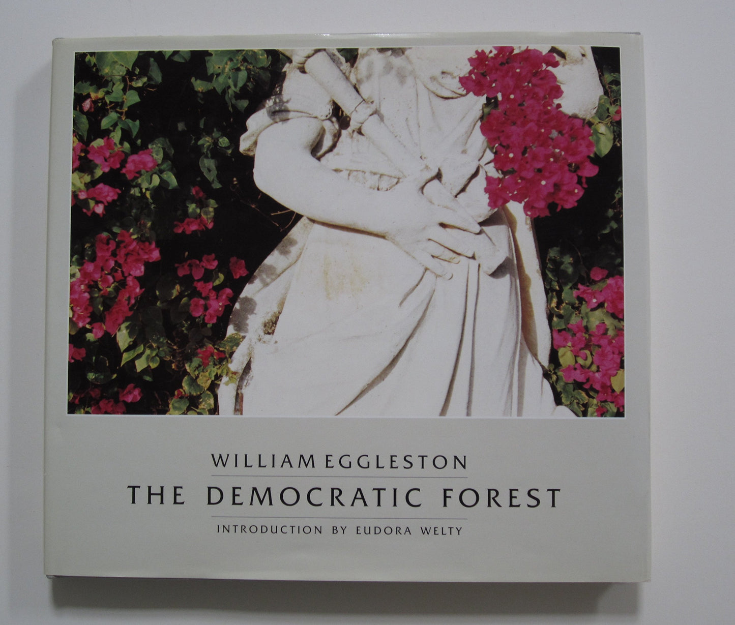 The Democratic Forest by William Eggleston
