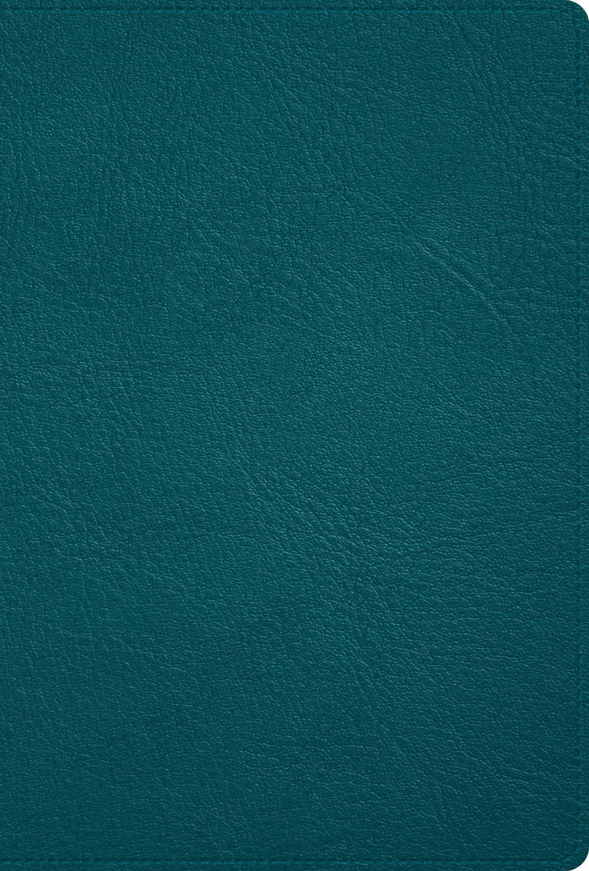 Biblia Reina Valera 1960, Deluxe, turquesa, piel genuina / Deluxe bible turquoise, Genuine Leather (Spanish Edition)