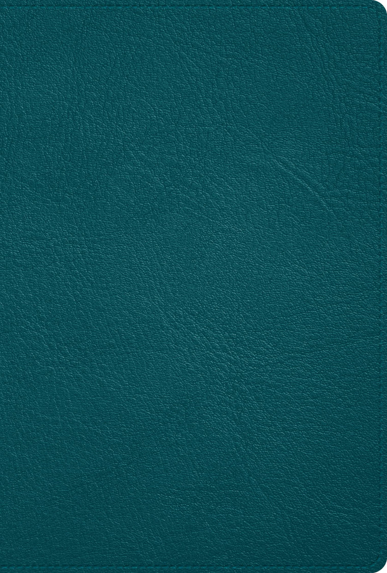 Biblia Reina Valera 1960, Deluxe, turquesa, piel genuina / Deluxe bible turquoise, Genuine Leather (Spanish Edition)