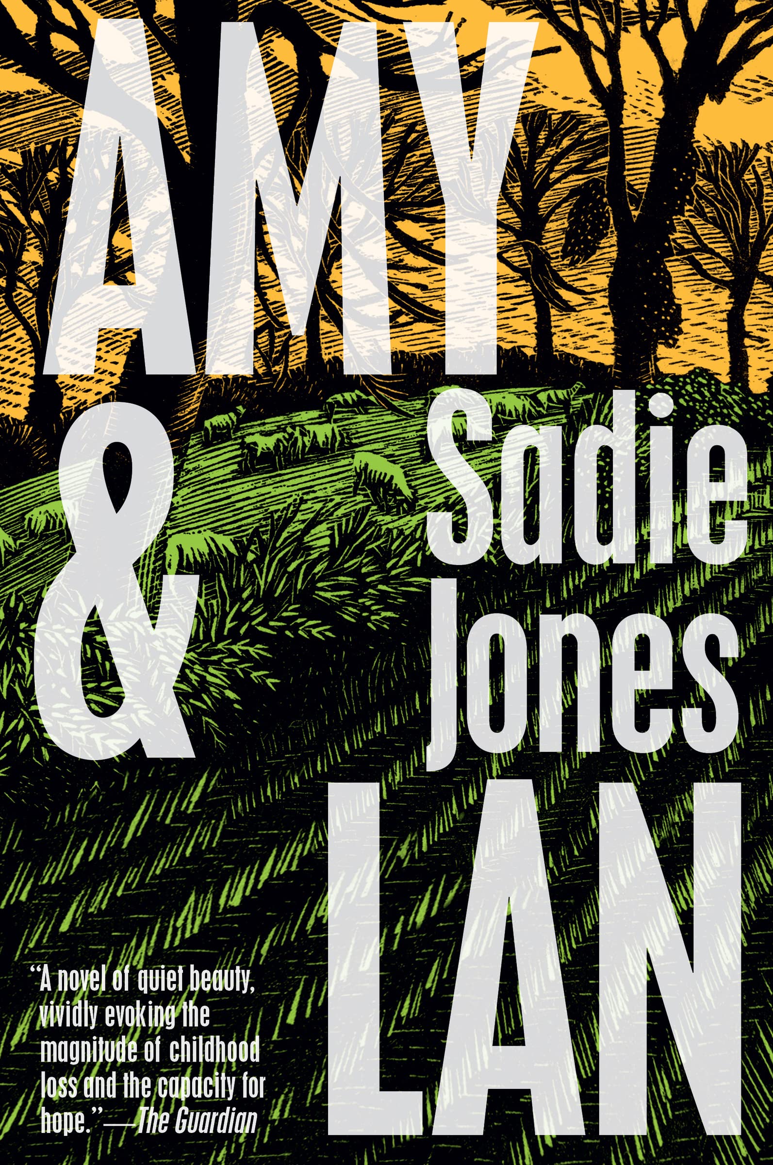 Amy & Lan: A Novel