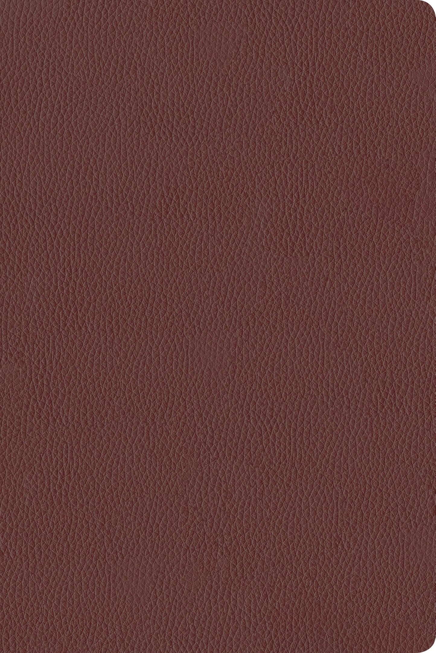 KJV Personal Size Giant Print Bible, Filament Enabled (Genuine Leather, Burgundy, Indexed, Red Letter): Includes Free Access to the Filament Bible App ... Notes, Devotionals, Worship Music, and Video