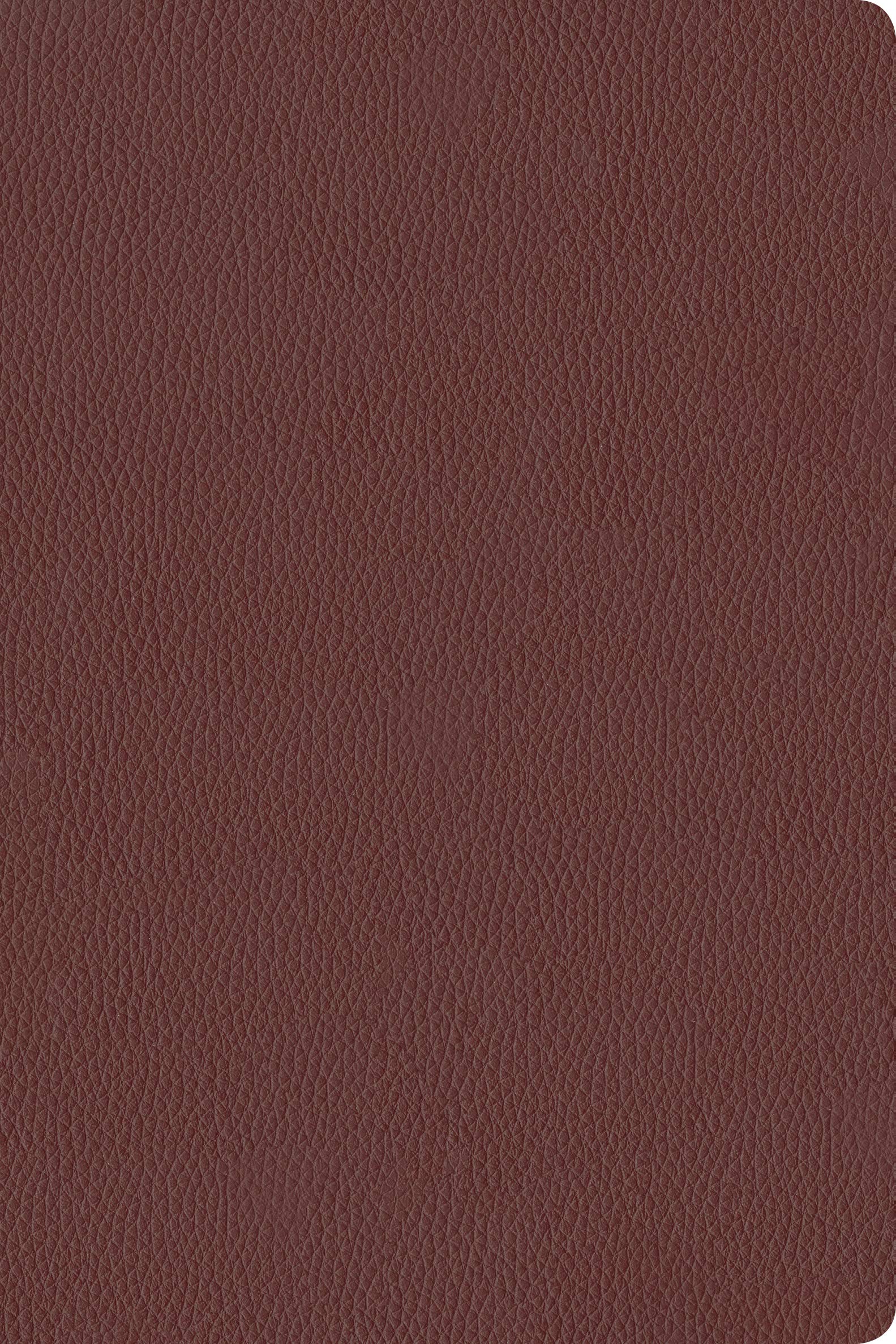 KJV Personal Size Giant Print Bible, Filament Enabled (Genuine Leather, Burgundy, Indexed, Red Letter): Includes Free Access to the Filament Bible App ... Notes, Devotionals, Worship Music, and Video
