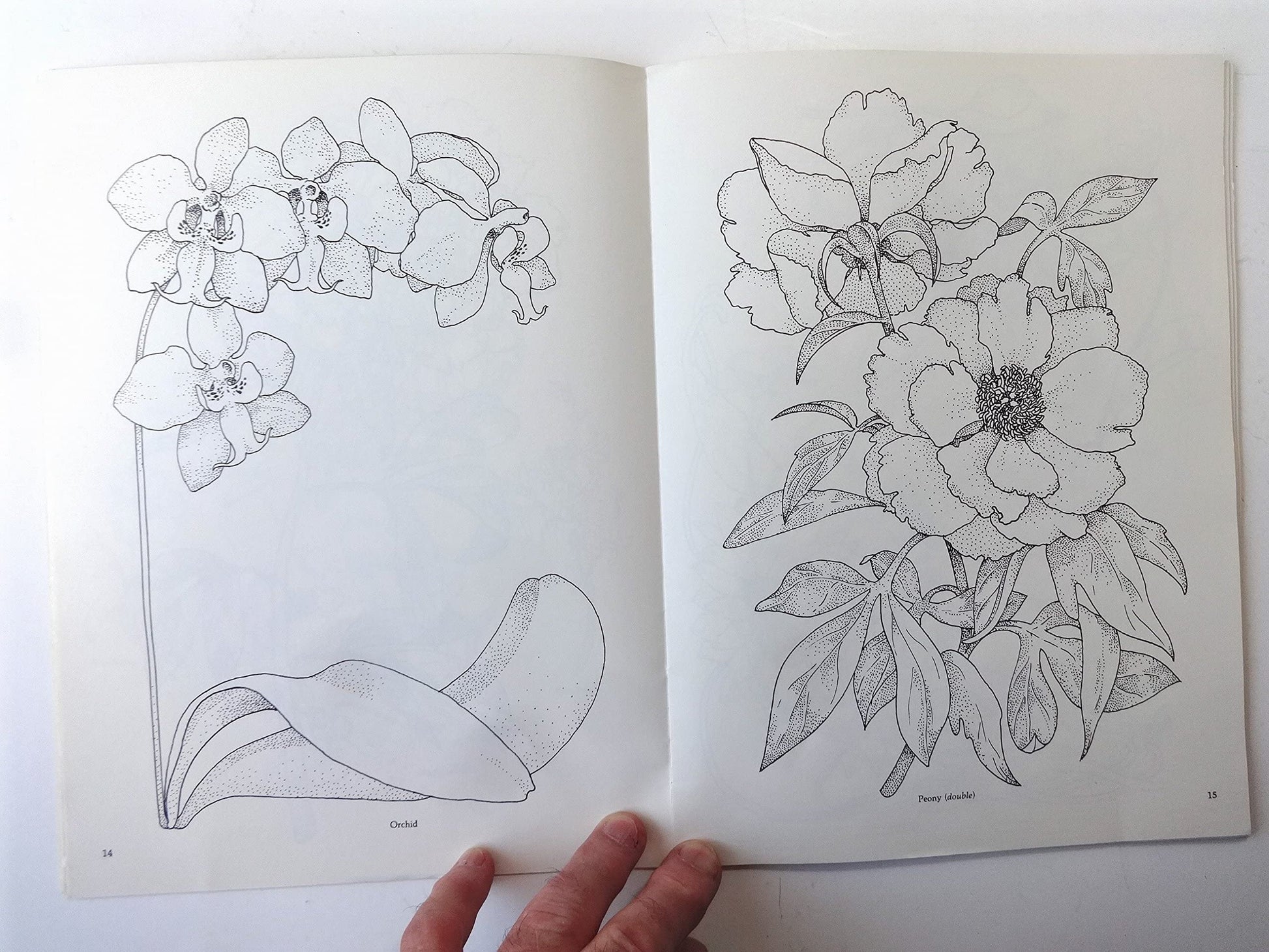 Treasury of Flower Designs for Artists, Embroiderers and Craftsmen (Dover Pictorial Archive)