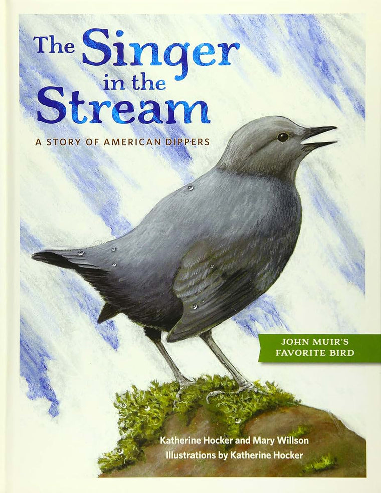 The Singer in the Stream: A Story of American Dippers