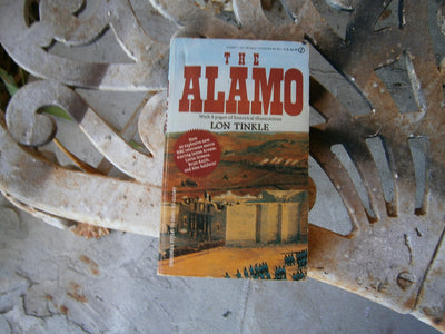 The Alamo (Original Title : 13 Days to Glory)