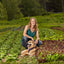 Tiny Victory Gardens: Growing Food Without a Yard (Citizen Gardening)