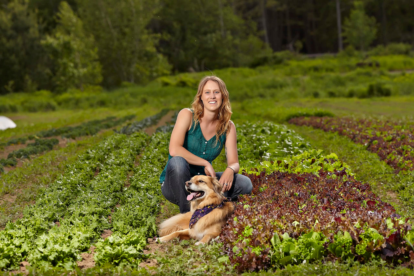 Tiny Victory Gardens: Growing Food Without a Yard (Citizen Gardening)
