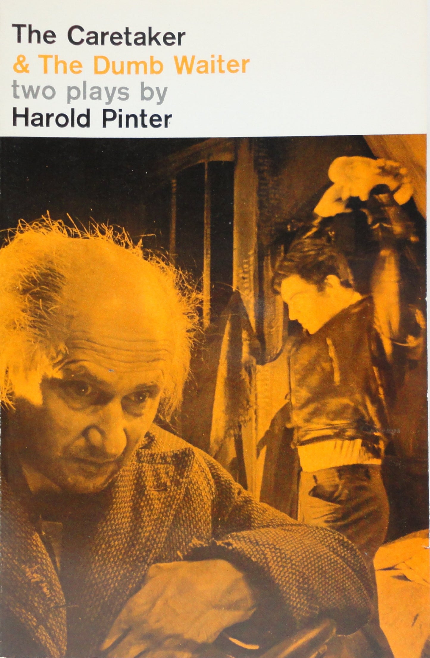 The Caretaker and the Dumb Waiter (Pinter, Harold)