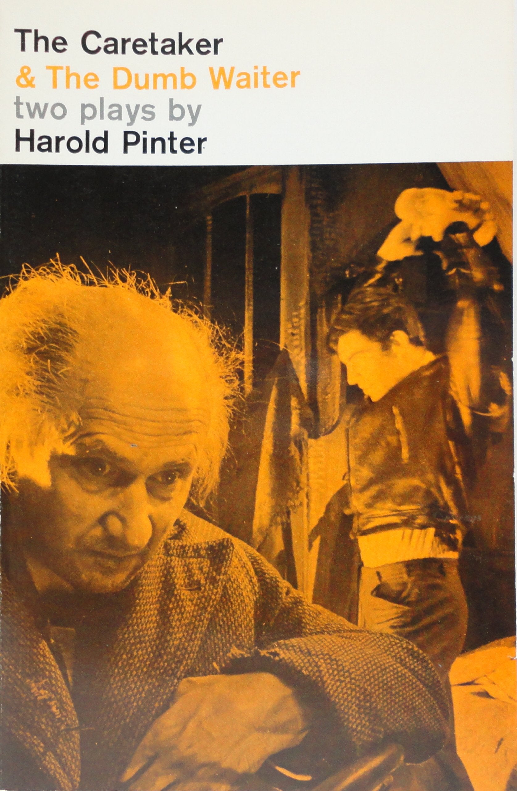 The Caretaker and the Dumb Waiter (Pinter, Harold)