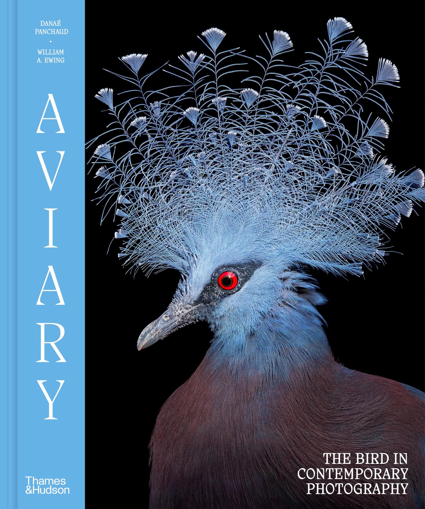 Aviary: The Bird in Contemporary Photography