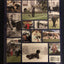 Pets at the White House: 50 Years of Presidents and Their Pe