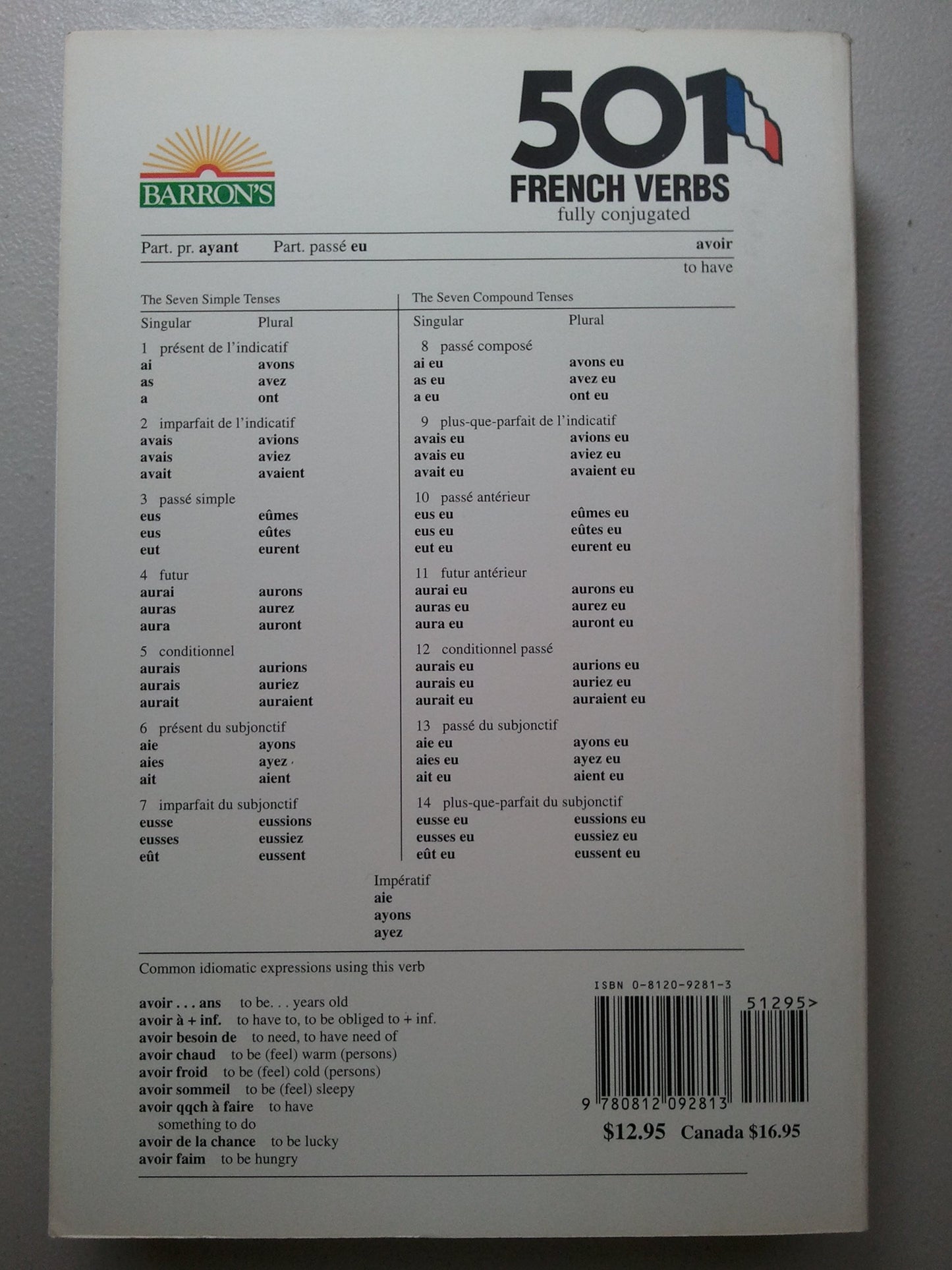 501 French Verbs: Fully Conjugated in All the Tenses in a New Easy-To-Learn Format Alphabetically Arranged (English and French Edition)
