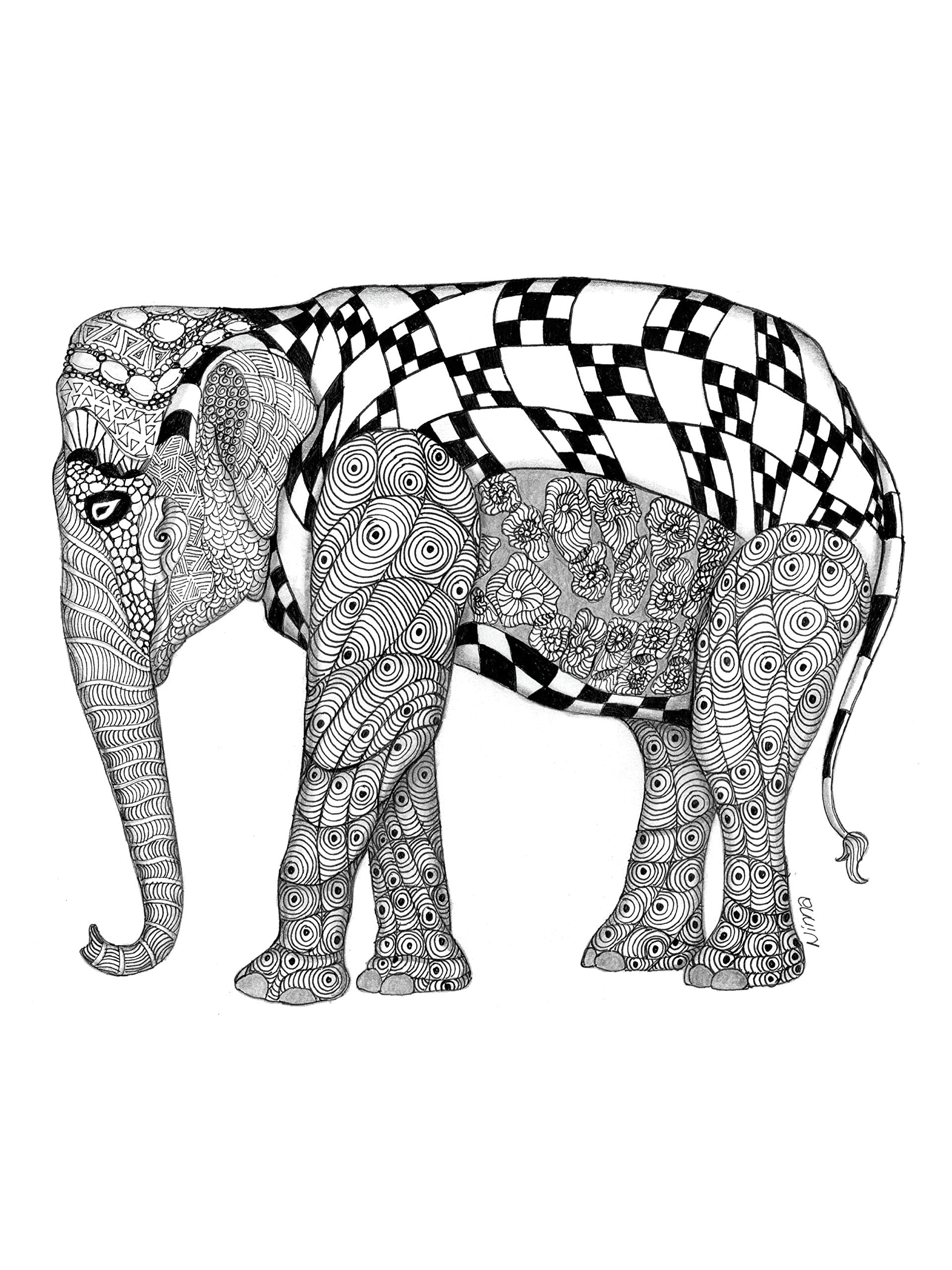 TangleEasy Lined Journal Elephant (Quiet Fox Designs) Hyper-Detailed, Exquisitely Rendered Animal Illustrations by Ben Kwok (BioWorkZ); Lined Pages with Plenty of Writing Space to Document Your World
