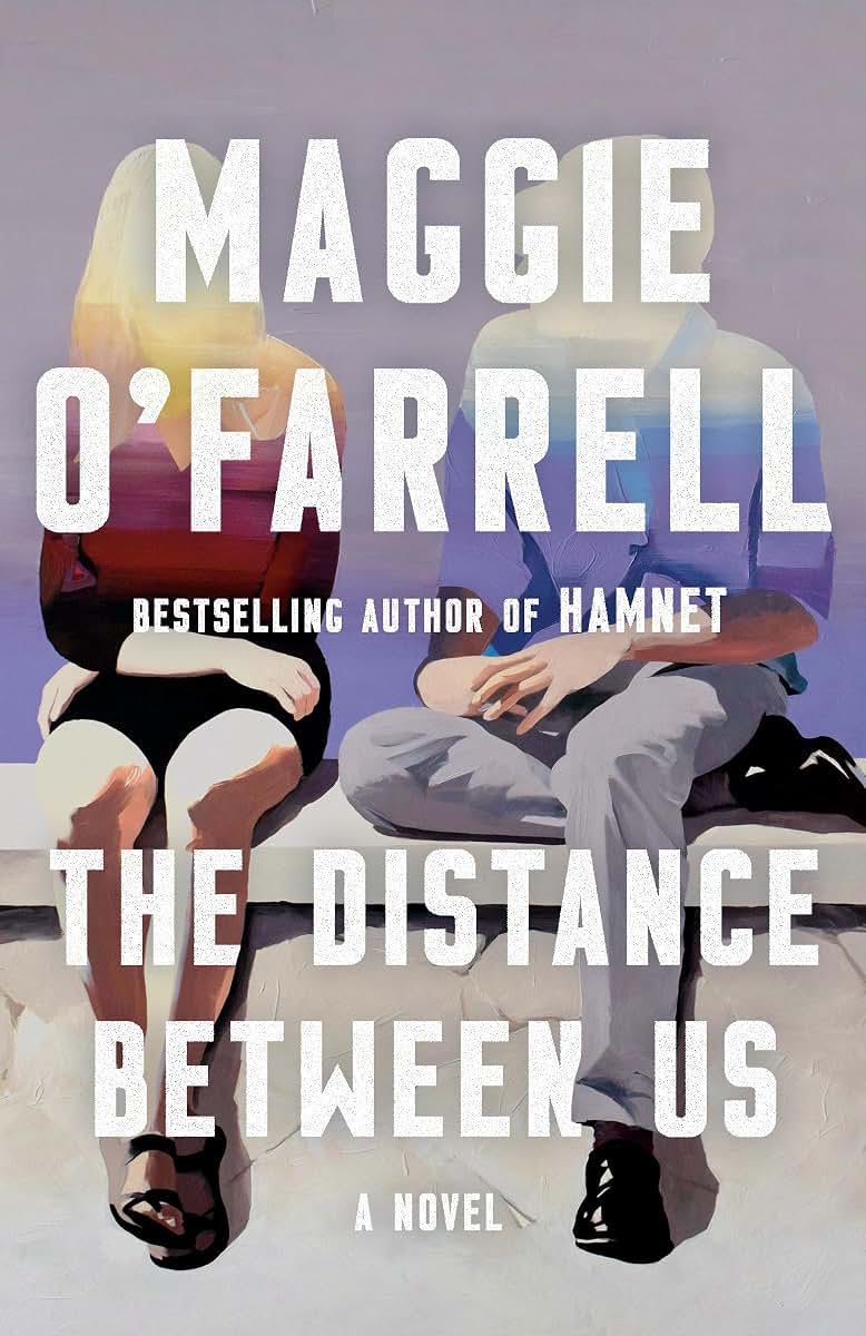 The Distance Between Us: A Novel