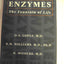 Enzymes: The Fountain of Life