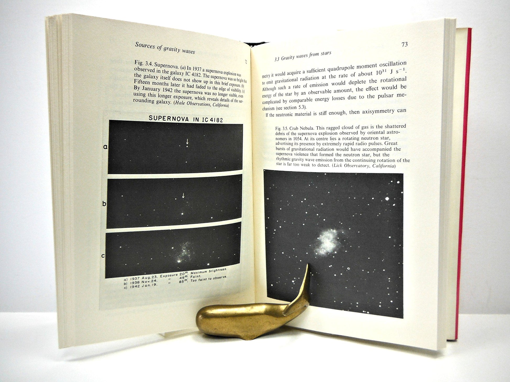 The Search for Gravity Waves