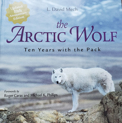 The Arctic Wolf: Ten Years With the Pack