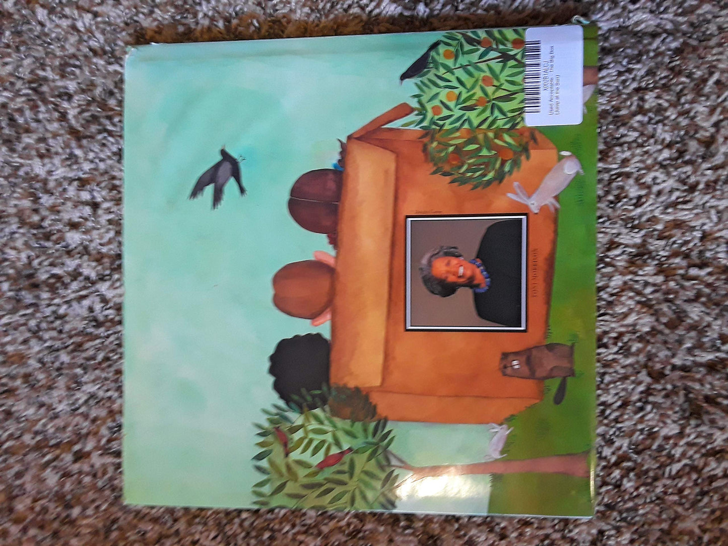 The Big Box by Toni Morrison
