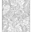 Paisley Designs Coloring Book (Dover Design Coloring Books)