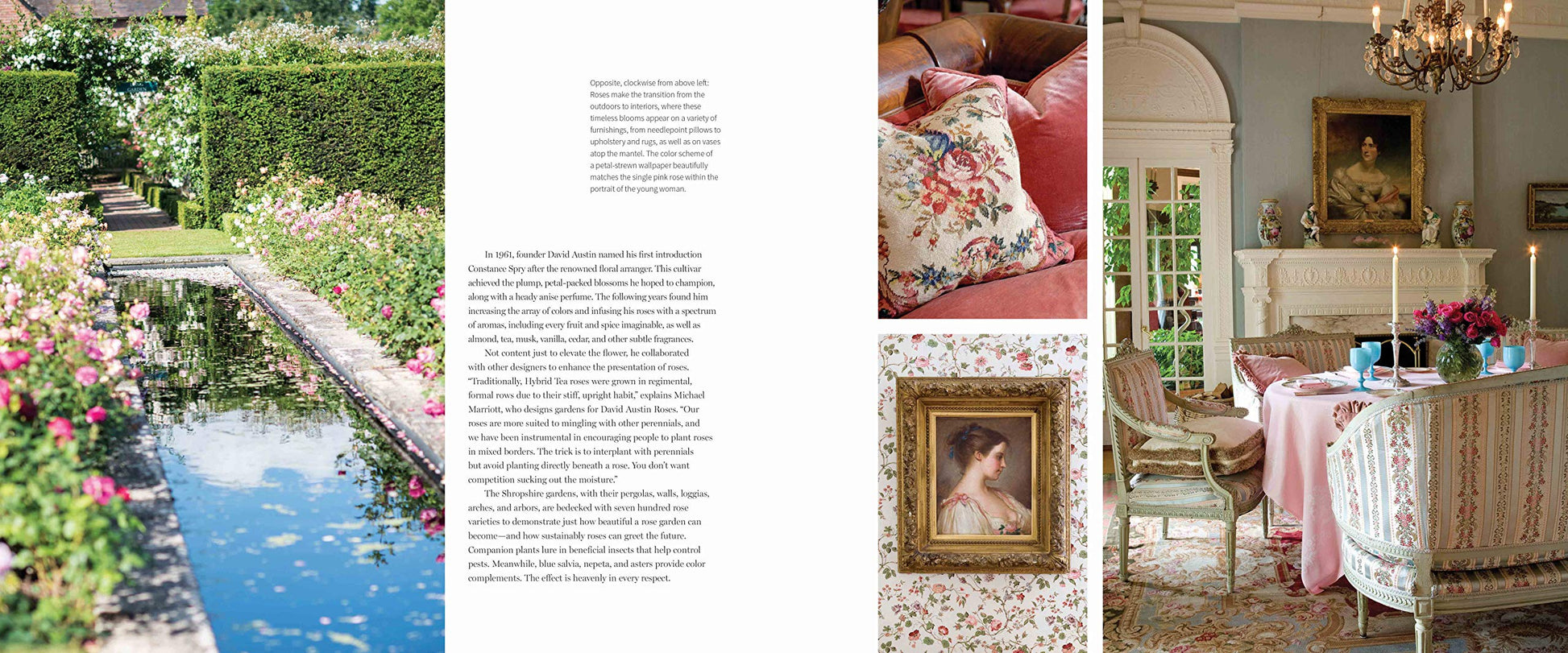 Our Hearts Are in England (The Our Hearts Collection, 1)