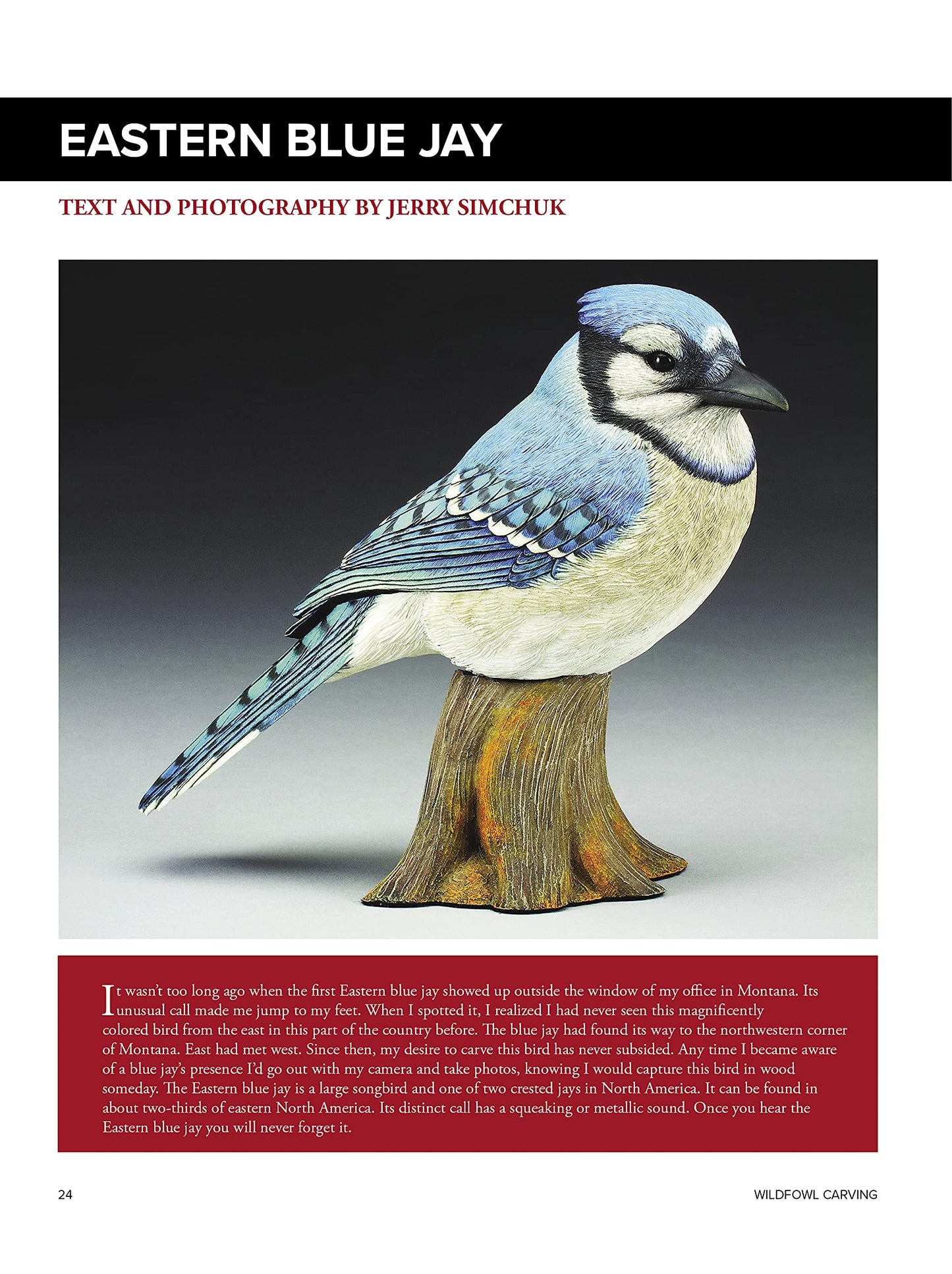 Backyard Birds: Learn How to Carve and Paint 5 Beautiful Songbirds
