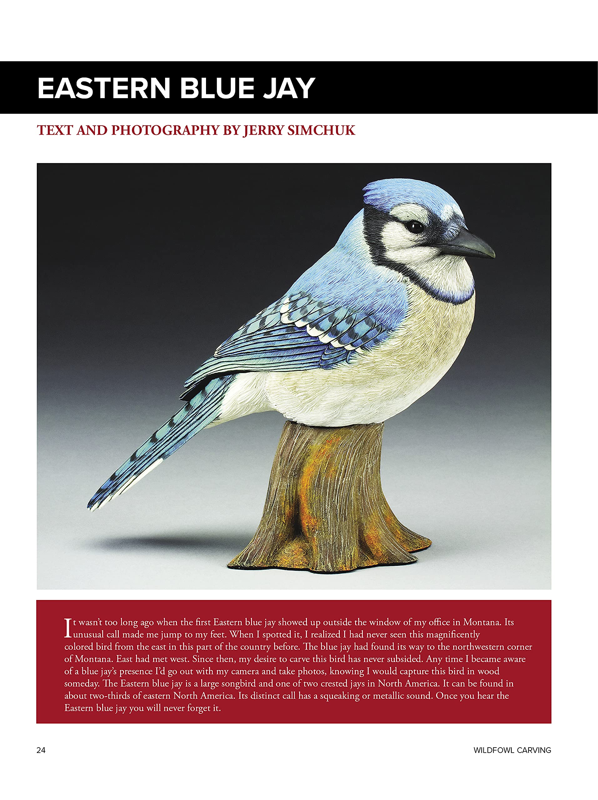 Backyard Birds: Learn How to Carve and Paint 5 Beautiful Songbirds