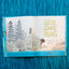 Bear Came Along (Caldecott Honor Book)