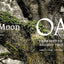 Oak: From Seed to Ancient Tree