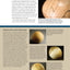 Ellsworth on Woodturning: How a Master Creates Bowls, Pots, and Vessels (Fox Chapel Publishing) Over 400 Photos, Step-by-Step Directions, Techniques, Expert Tips, and Troubleshooting for Your Lathe
