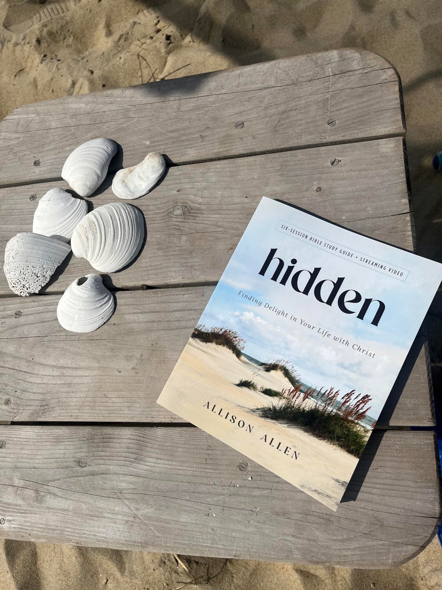 Hidden Bible Study Guide plus Streaming Video: Finding Delight in Your Life with Christ