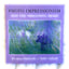 Photo Impressionism and the Subjective Image: An Imagination Workshop for Photographers