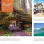 Fodor's California: with the Best Road Trips (Full-color Travel Guide)