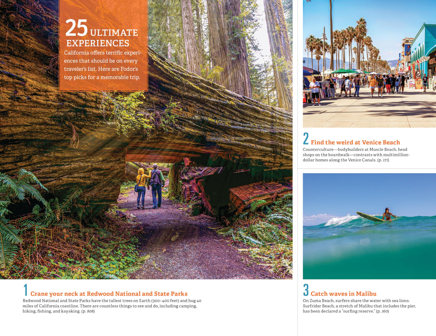 Fodor's California: with the Best Road Trips (Full-color Travel Guide)