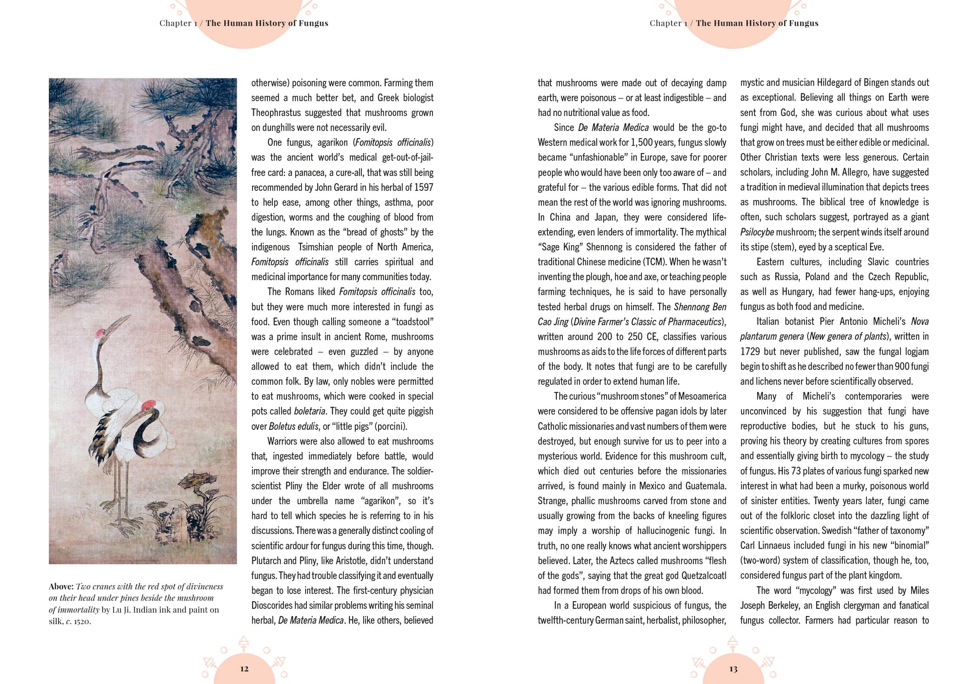 The Magic of Mushrooms: Fungi in folklore, superstition and traditional medicine