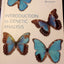 Introduction to Genetic Analysis, 9th Edition
