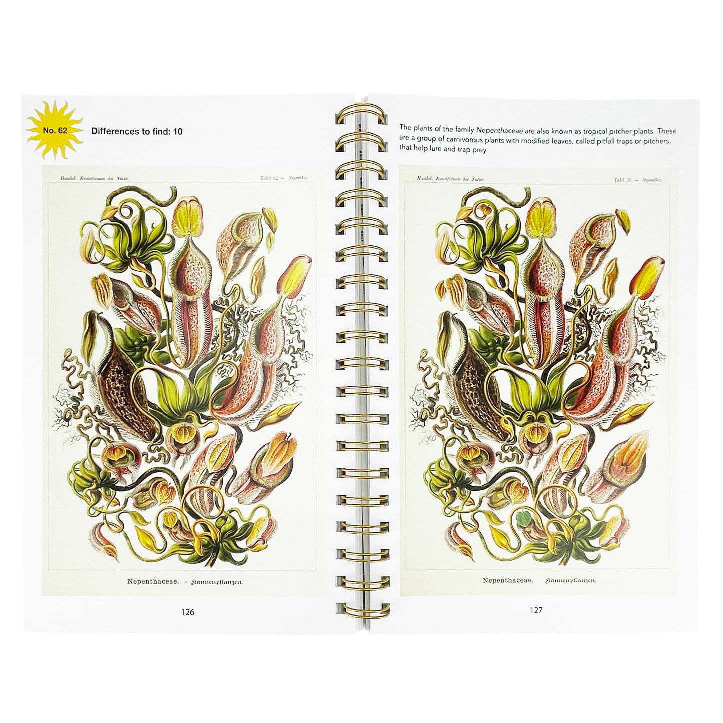 Smithsonian Spot the Difference - Natural Wonders From the Archives, 100+ Picture Puzzles for Adults - Includes Spiral Bound / Lay Flat Design (Brain Busters)