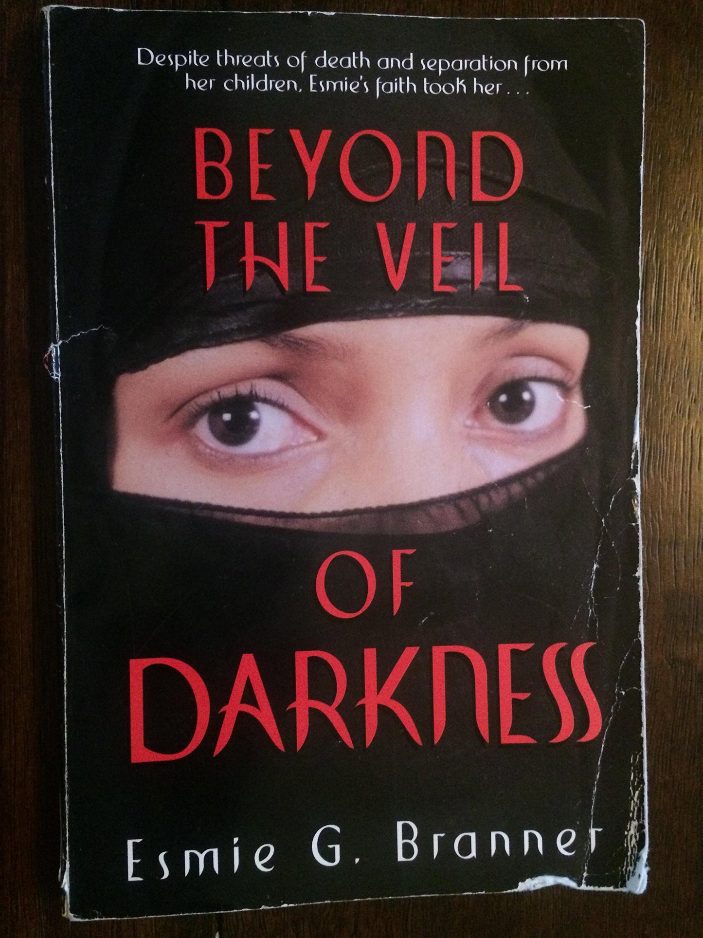 Beyond the Veil of Darkness
