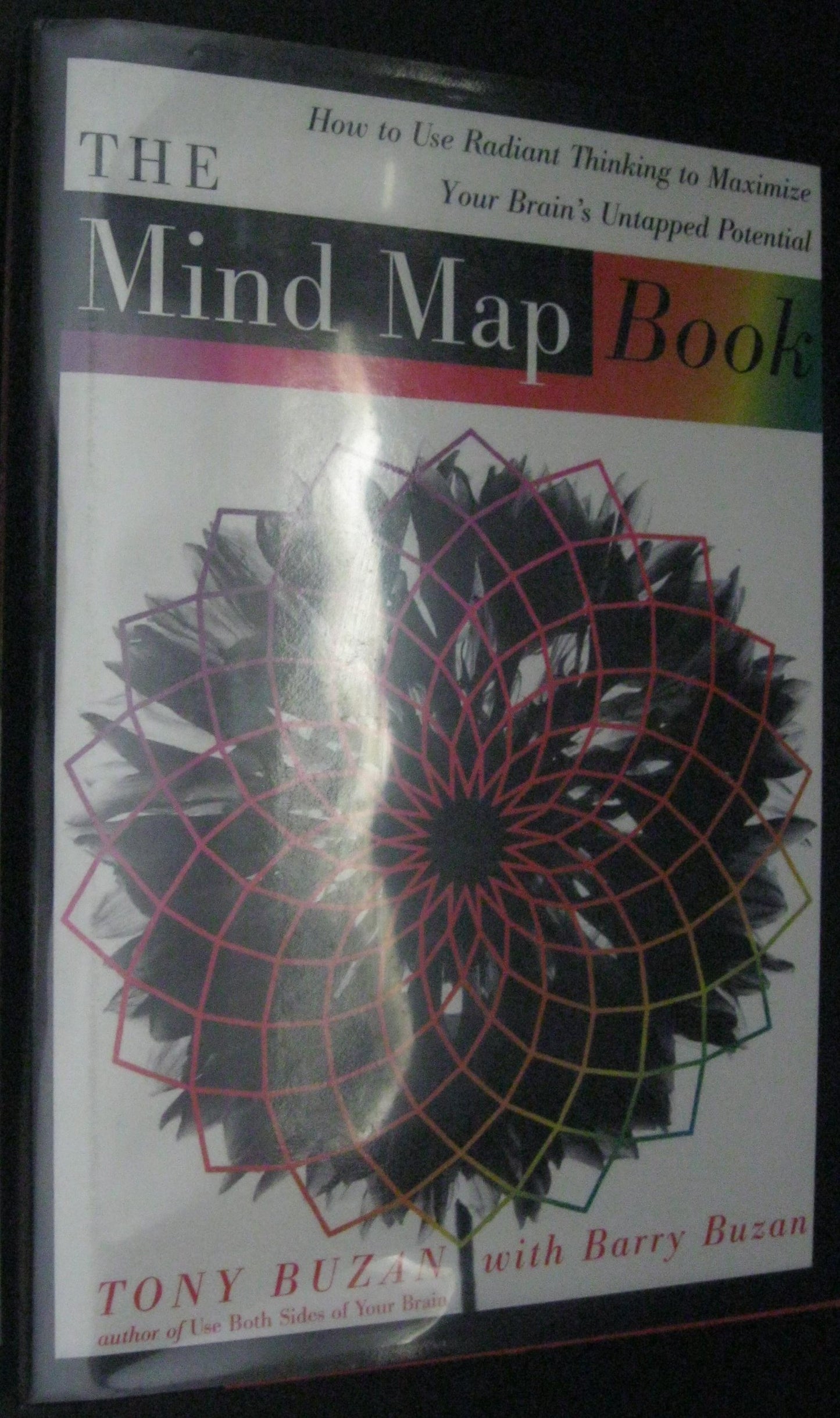 The Mind Map Book: How to Use Radiant Thinking to Maximize Your Brain's Untapped Potential