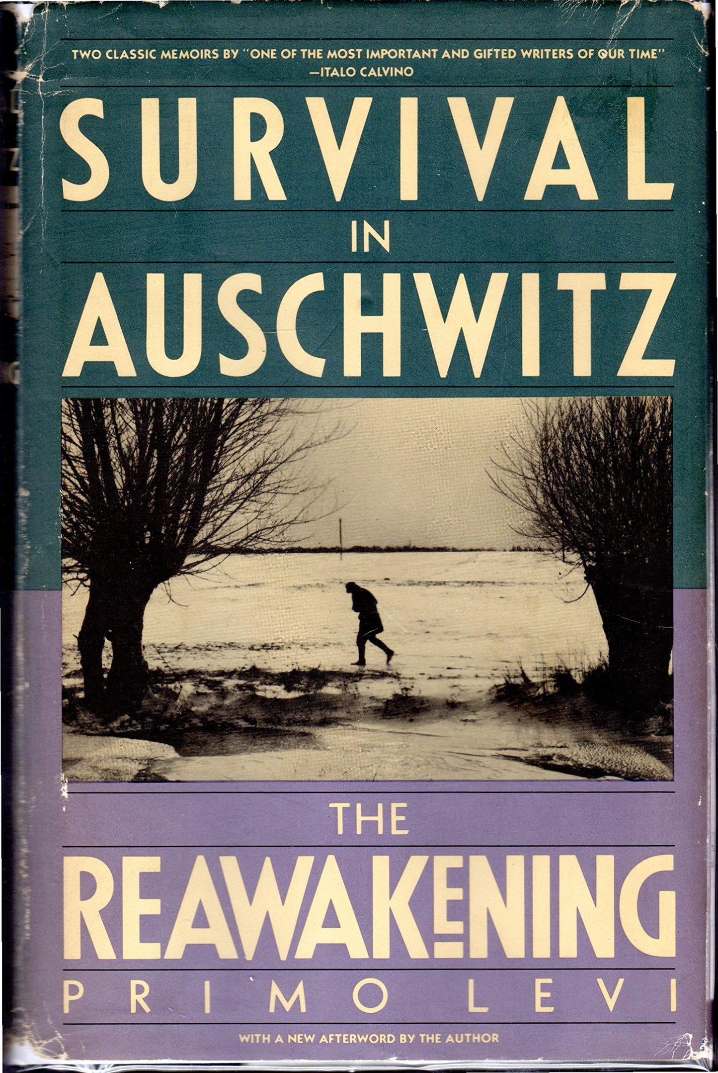 Survival in Auschwitz and The Reawakening, Two Memoirs by Pr