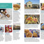 Fodor's New England: with the Best Fall Foliage Drives & Scenic Road Trips (Full-color Travel Guide)