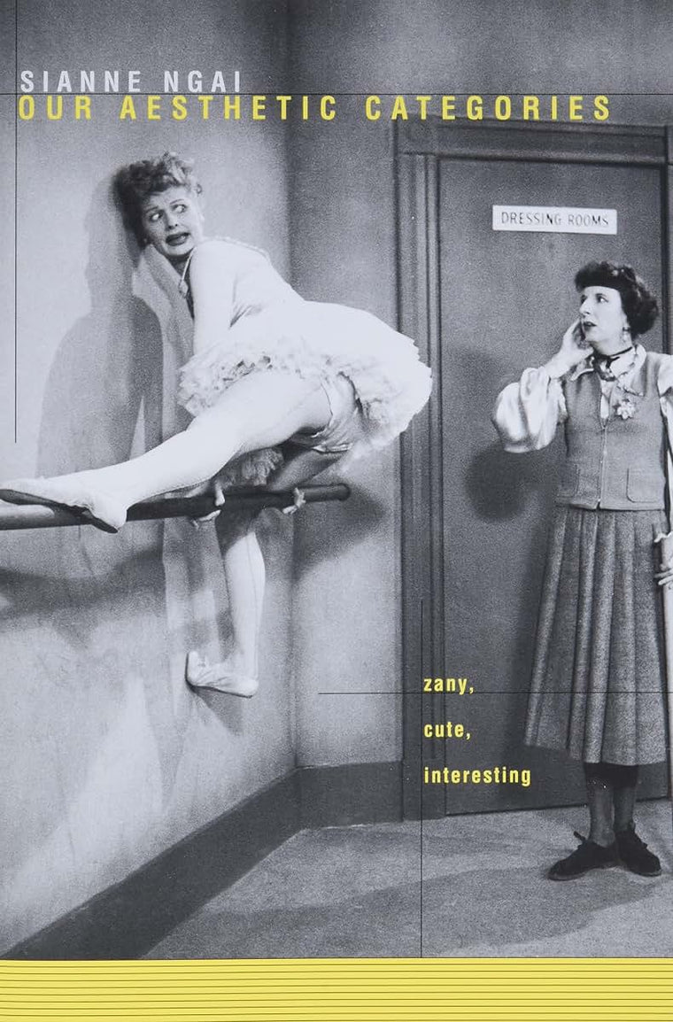 Our Aesthetic Categories: Zany, Cute, Interesting