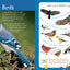 Backpack Explorer: On the Nature Trail: What Will You Find?