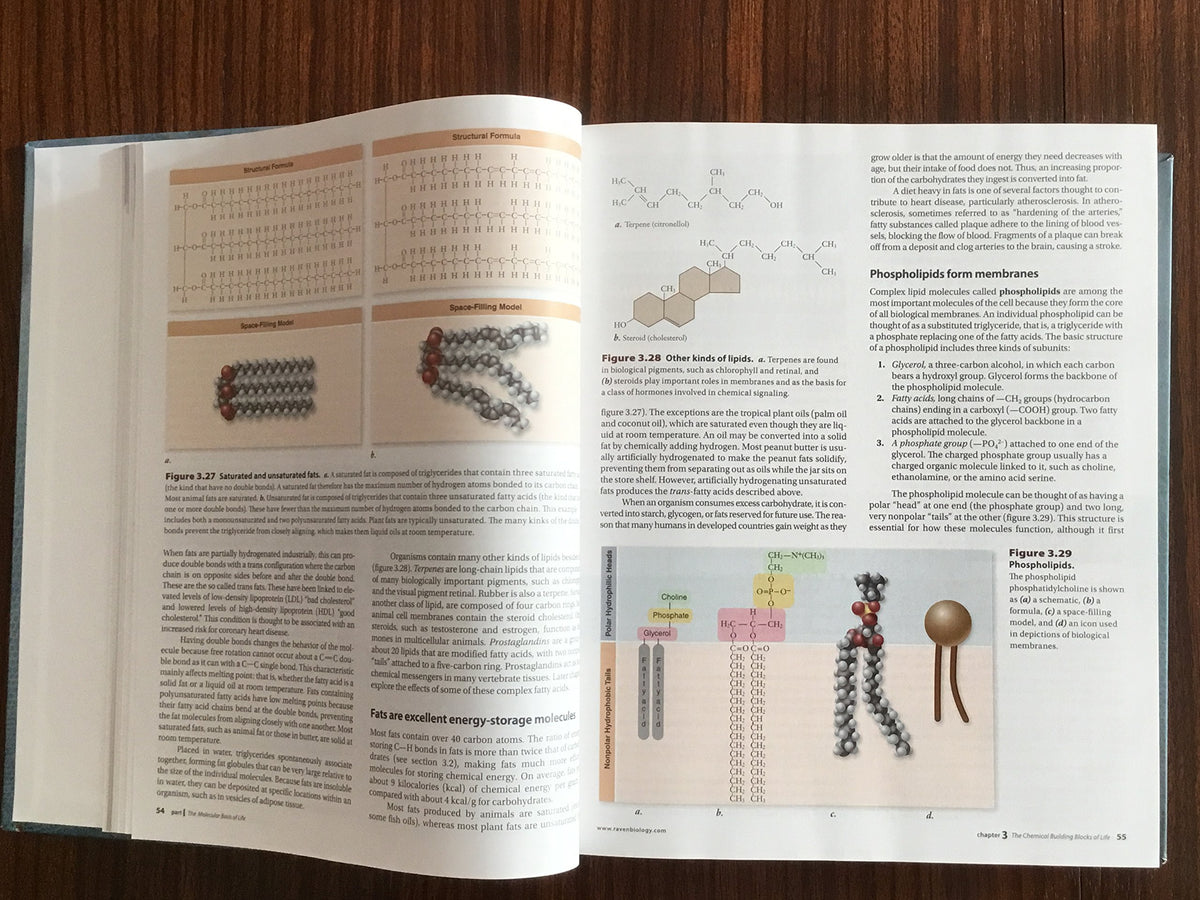 Biology: AP Edition