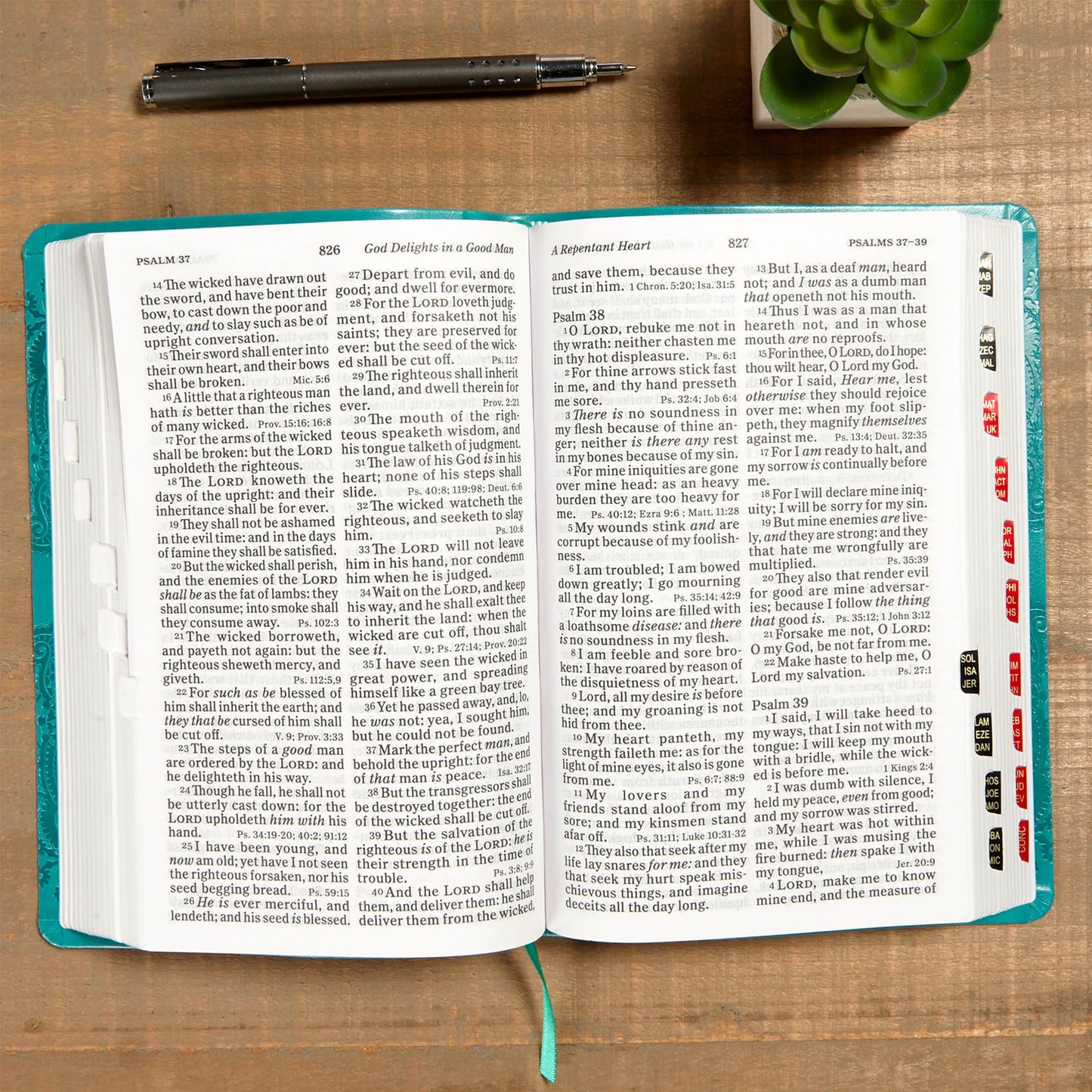 KJV Large Print Personal Size Reference Bible, Teal LeatherTouch Indexed, KJV Holy Bible, Red Letter, Pure Cambridge Text, Presentation Page, Cross-References, Full-Color Maps