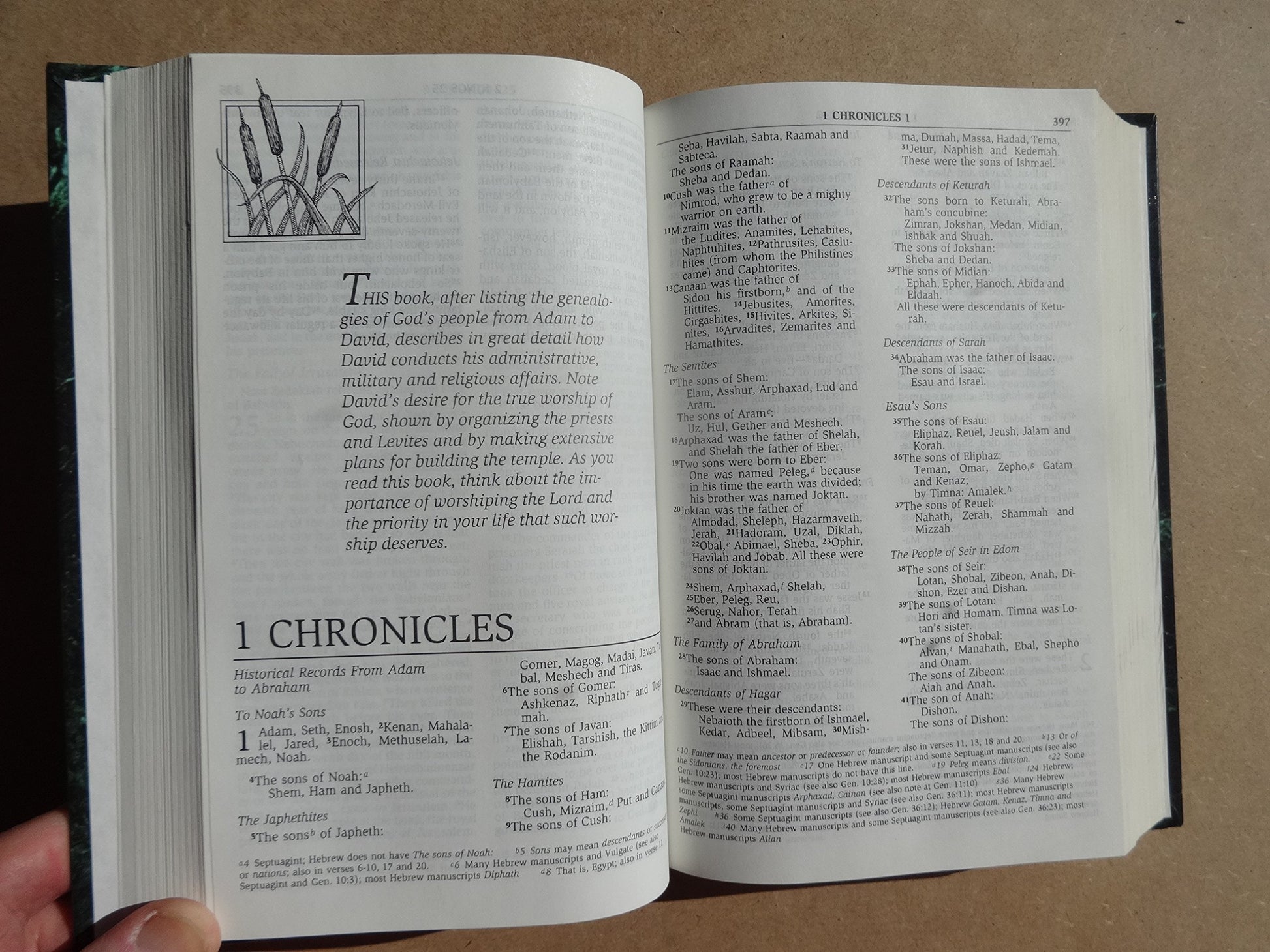 NIV Men's Devotional Bible: New International Version