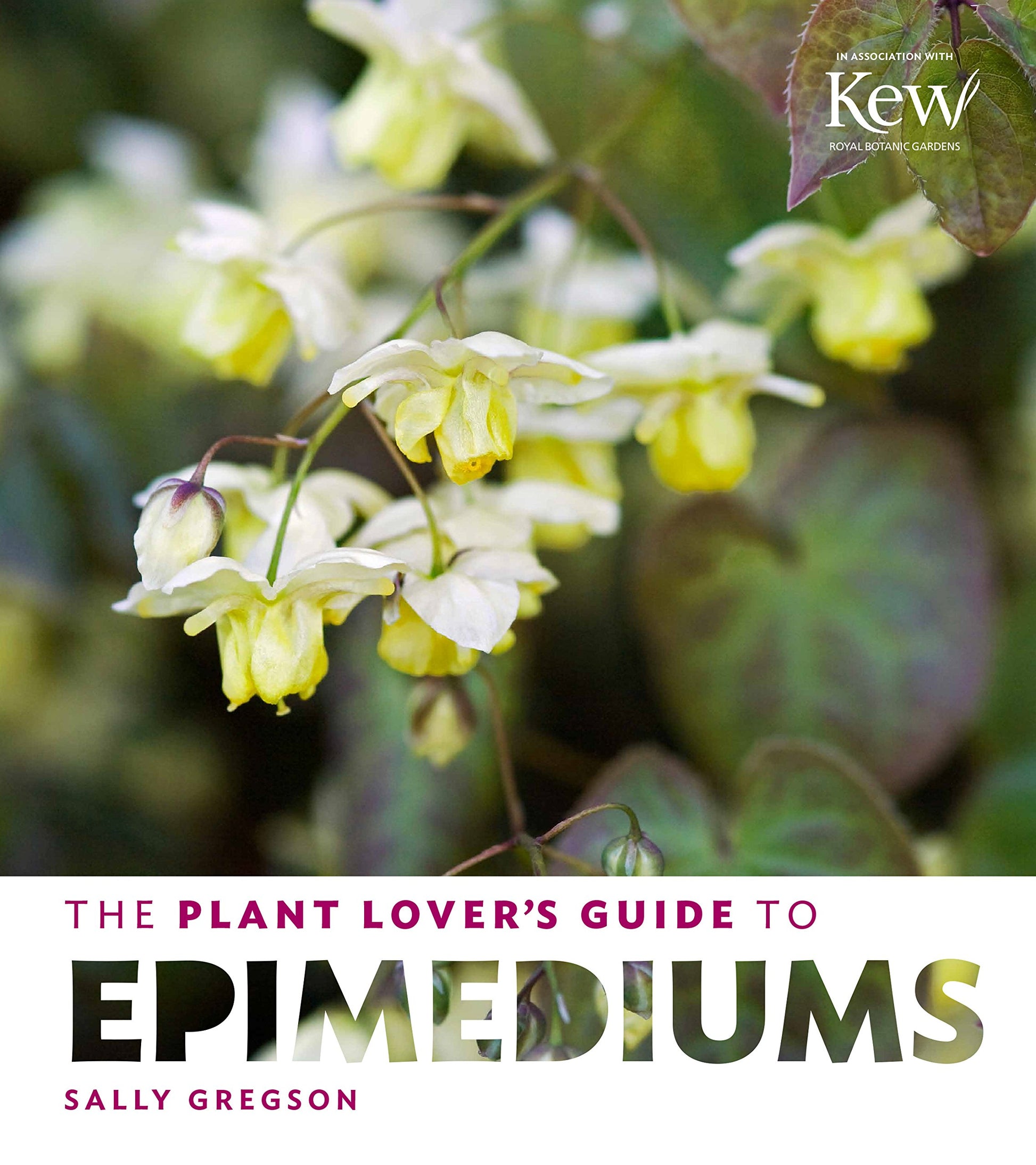 The Plant Lover's Guide to Epimediums (The Plant Lovers Guides)