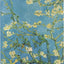 Almond Blossom Journal (Notebook, Diary)