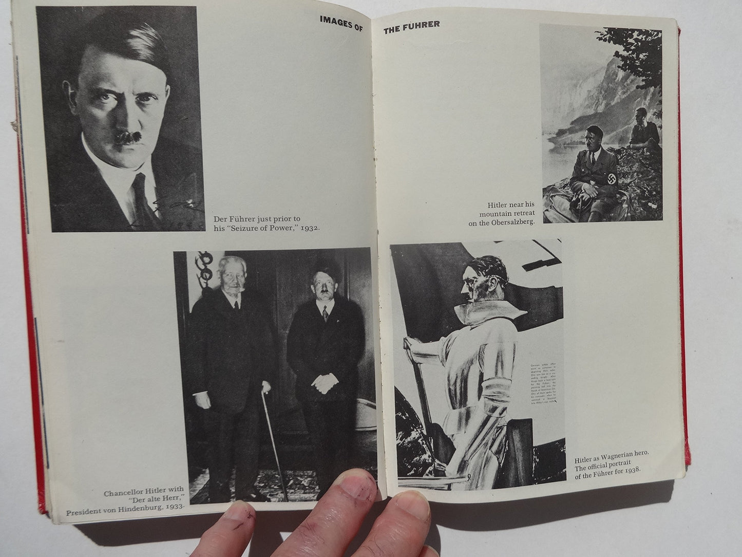 The Psychopathic God Adolf Hitler by Waite